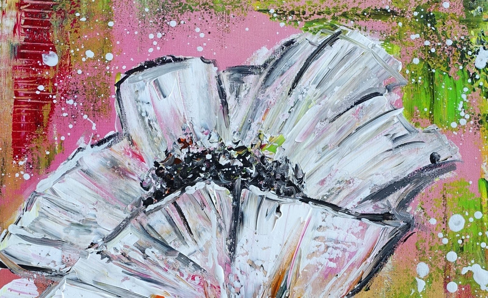 Weißer Mohn Blumenbild