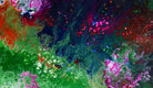 Fluid Art abstrakte Kunst Malerei gruen rot Gemaelde Bilder fuer Unternehmen Hotel